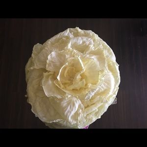 Meet your Posher, Sachy